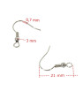 Stainless Steel Hook Earwire 1Pc+P