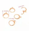 Stainless steel Lever Back Earring rose gold - 1Pc