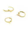 Stainless steel 316 Lever Back Earring - 1Pc+P