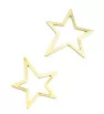 Stainless Steel star 30mm - 1Pcs