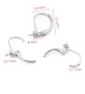 Stainless Steel 316L Earwires 13x10mm - 1Pc