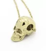 Stainless Steel Skull pendant with chain