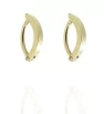 Stainless Steel earrings Arc