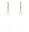 Stainless Steel earrings Pearl Radiance