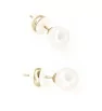 Stainless Steel earrings Pearl Pin