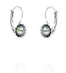 Stainless Steel earrings Blooming Crystal