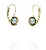 Stainless Steel earrings Blooming Crystal