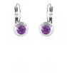 Stainless Steel earrings Crystaline