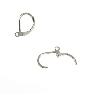 Stainless Steel 316 Earwires 13x10mm - 1Pc+P