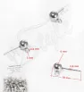 Stainless Steel Ear Stud Component 1PC+P